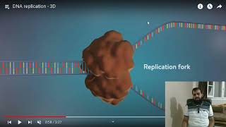 DNA replication and Telomerase [upl. by Eicam]