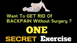 Best Low Back Pain Relief Exercise  Sciatica Pain Relief Stretch [upl. by Pirnot]