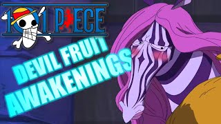 What is a devil fruit awakening  101 Piece [upl. by Ayotol]