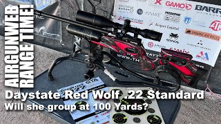 Daystate Red Wolf 22 Can it hold a group at 100 yards Let’s find out [upl. by Damalas232]