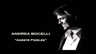 Adeste Fideles karaoke instrumental backing track [upl. by Chilson558]