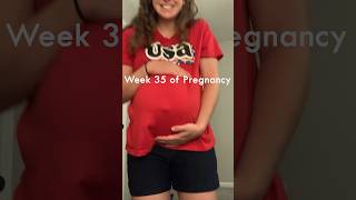 35 weeks pregnant symptoms bellyprogression 35weeks [upl. by Annaliese662]