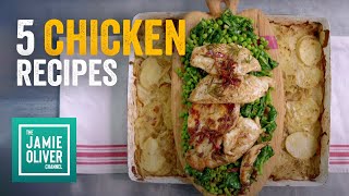 5 Easy Chicken Dinners All Cooked in 15 Minutes [upl. by Irot]