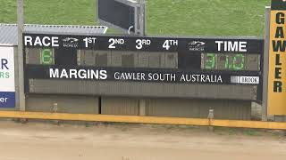 Gawler04092024Race8 [upl. by Bartholemy]