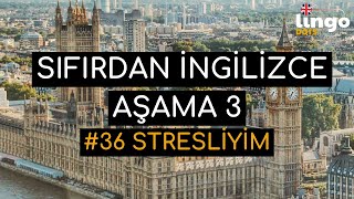 Sıfırdan İngilizce Edinme Serisi  Aşama 3  Bölüm 36 [upl. by Meave966]