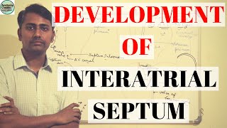 DEVELOPMENT OF INTERATRIAL SEPTUM [upl. by Terrell]