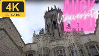 Walk in Auckland  University of Auckland  Campus Walk  4K [upl. by Ssew]