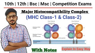 Immunology MHC Cell In Hindi  MHC Class  Major Histocompatibility Complex  By Dadhich Sir [upl. by Iveson]