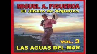 Miguel Angel Figueroa El Jibaro de Adjuntas Lamento De Un Jibarito [upl. by Bissell]