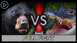 Animal FaceOff 2004  Black Bear VS Alligator Full Fight [upl. by Amihsat]