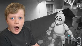 We caught Chica on our Security Camera Fazbear Nights is the Scariest FNAF EVER [upl. by Irama]