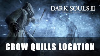 Dark Souls 3 Ashes of Ariandel  Crow Quills Location [upl. by Laersi829]