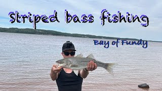 Striped bass fishing Bay of fundy NS [upl. by Orat]