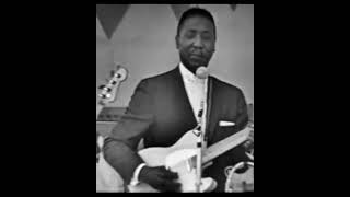 🐟 Muddy Waters Iconic quotCatfish Bluesquot Newport 1960 Live🐟 [upl. by Walkling519]