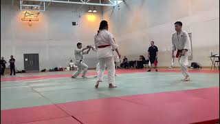 2nd WSAF European Aikido Championships Dublin July 2024 Tanto randori kata FINAL [upl. by Norra108]