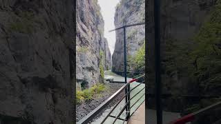 ‘Aare Gorge passageway’ swisstravels swisstourism travel ytviral shorts short aareschlucht [upl. by Enytsirhc]