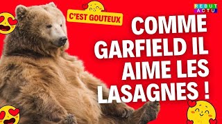 Le nounours aime les lasagnes mais les gamins eux naiment pas Winnie lourson version horrifique [upl. by Donia]