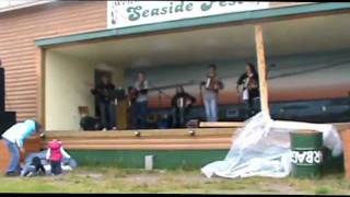 Mussels In The Corner  Fogo Island Accordion Group [upl. by Farnham]