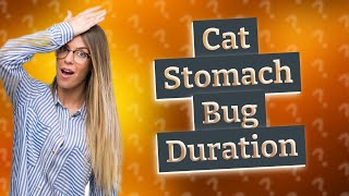 How long does a stomach bug last in cats [upl. by Chappy]