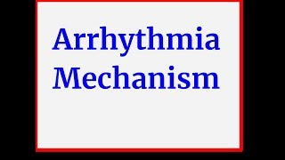 Arrhythmia mechanism [upl. by Eimareg]