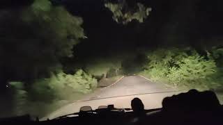 जंगल में मिला लकड़बग्घा । Striped Hyena Sighting In Rajaji National Park । Night Jungle Drive [upl. by Euqinehs]