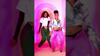 Kamata Tiktok Dance Challenge Diamond Platnumz [upl. by Novrej]