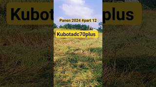 PANEN 2024 PART 12 kubotadc70 kubotadc70plus feedshorts shortvideo [upl. by Ellehciram]