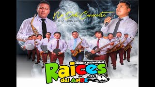 ORQUESTA RAICES DEL ANDE  NO DEBI CONOCERTE VIDEO OFICIAL 2022 [upl. by Wolf]