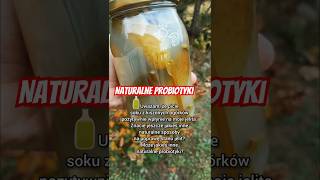 Naturalne probiotyki  sok z kiszonych ogródków Zdrowe jelita 🍁 [upl. by Eissak371]