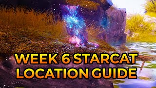 Destiny 2  Week 6 Starcat Location Guide Harbingers Seclude Gardens of Esila amp The Confluence [upl. by Botnick]