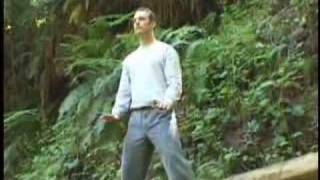 Qi Gong Flow For Beginners with Lee Holden  Teaser [upl. by Llebyram]