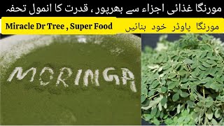 Moringa Powder  Drumstick Leaves Powder  How To Make Moringa Powder [upl. by Layor821]