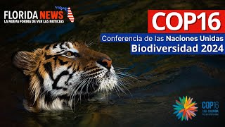 🌿COP16 Paz con la Naturaleza ¡Unidos por la Biodiversidad 🌍 [upl. by Ronnoc]