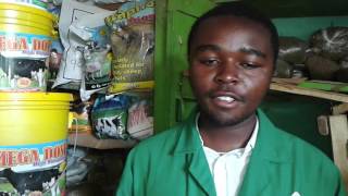 What it takes to run an agrovet business [upl. by Sgninnej]