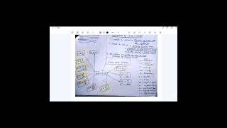 Structure of atom oneshot part2 All imp formulas of Bohr model Neet [upl. by Osana5]