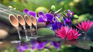 🔴Relaxing Music Relieves Stress Anxiety and Depression  Soothing Piano and Water Sound Calm Music [upl. by Johanna]