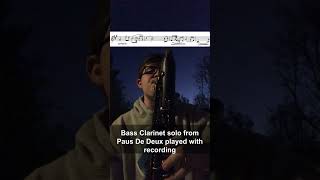 Bass Clarinet SOLO [upl. by Melquist]