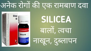 SILICEA Homeopathic medicine uses in hindi Silicea 30 200 [upl. by Hogen]