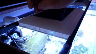 Giesemann Teszla LED Reef Tank Lights Full Review [upl. by Ines247]