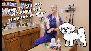 How to Get Rid of Brown Eye Staining in Dogs [upl. by Qerat]