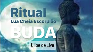 Ritual de Lua Cheia [upl. by Naicad]