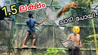 💥നമ്മുടെ അണ്ണാൻ ചാടി പോയി  Backyard FOREST  Fishing Freaks [upl. by Ennairod]