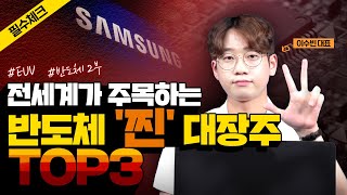 반도체 주식 중에 전세계가 주목하는 반도체 대장주 TOP3 선별했습니다 삼성전자 주가 EUV 관련주 반도체 2부 [upl. by Amalle]