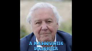 David Attenborough AI on the Human Mind 01 davidattenborough ai humanmind mindfulness [upl. by Bertilla108]