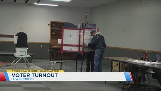 Voter turnout low for Illinois primary elections [upl. by Eastlake861]