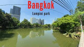 Lumpini park Novembre 2024 [upl. by Nemaj]