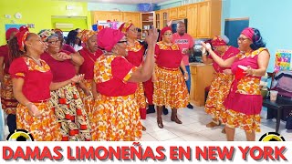 Fedu Damas Limoneñas en New York 112324  Garífunas en el Bronx  NaddyTV [upl. by Vardon]