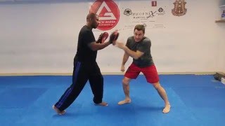 JKD Connection to Wing Chun [upl. by Tortosa]