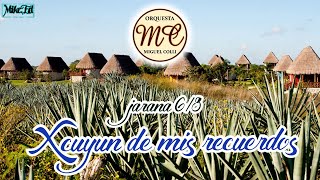 Xcuyun de mis recuerdos orquesta jaranera Víctor Soberanis  Miguel Colli jarana yucateca [upl. by Cirre889]