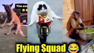 Flying Squad  Vikram 3  Funny video  Twisty story  Twist at end [upl. by Robinson865]